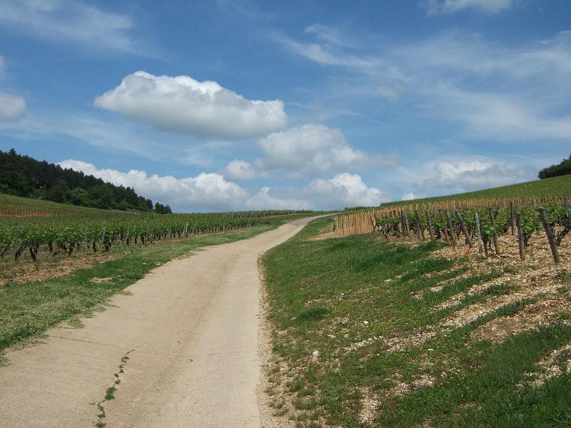 2010-05- (134).JPG